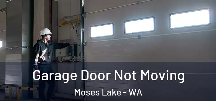 Garage Door Not Moving Moses Lake - WA