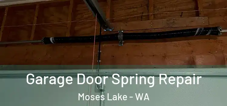  Garage Door Spring Repair Moses Lake - WA